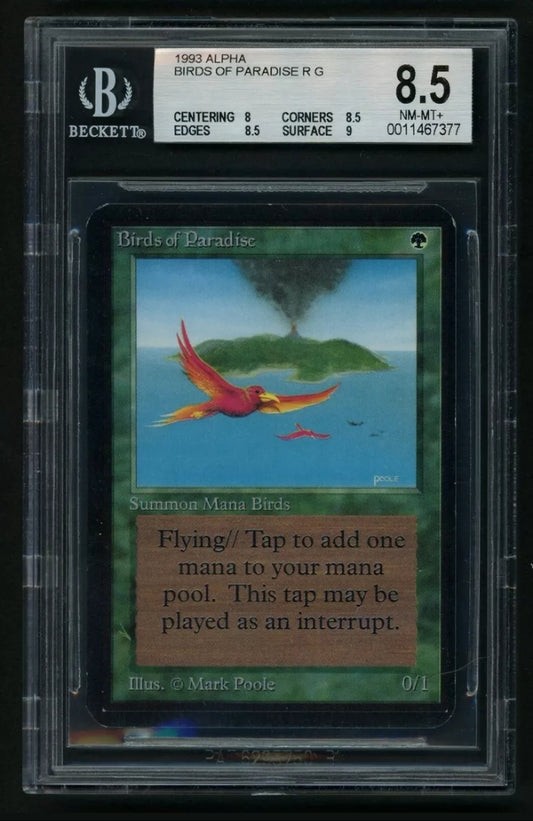 1993 Magic The Gathering MTG Unlimited Birds of Paradise Test